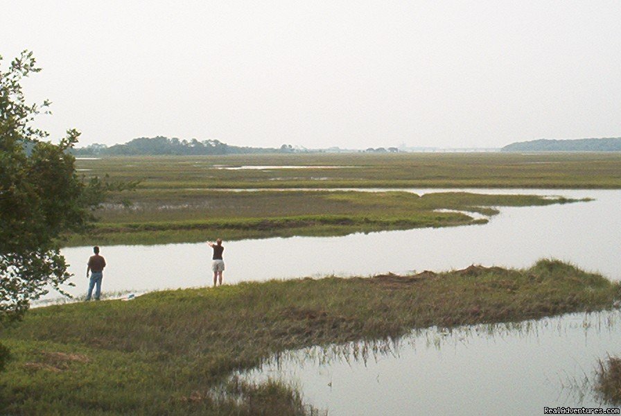 View up to Amelia Island | TourTime, Inc. | Middleburg, Florida  | Sight-Seeing Tours | Image #1/8 | 