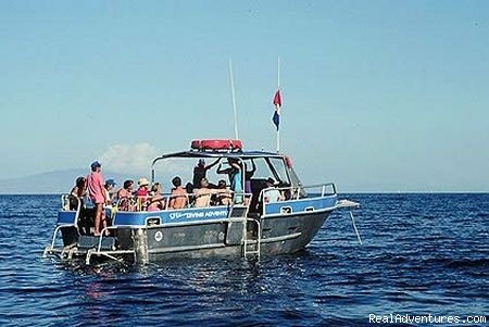 Custom Dive Boat | Ed Robinson's Diving Adventures | Image #5/5 | 