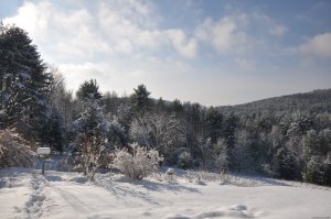 Woodstock Country Inn | Woodstock, New York | Bed & Breakfasts