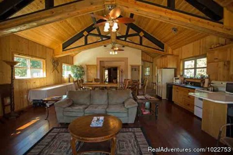 Homestead Lodge Upstairs Treetop Suite