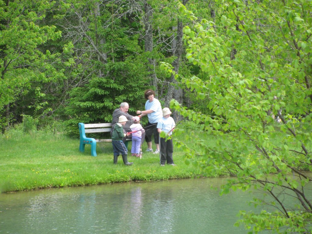 Old Miller Trout Farm and Guest House | Image #5/6 | 