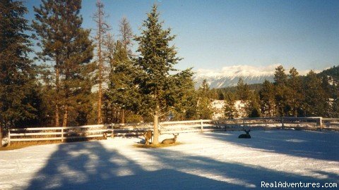 Singing Pines Bed And Breakfast | Image #9/13 | 