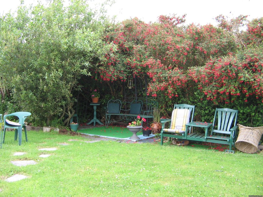 Back garden | The Old School House Ballinskelligs | Image #10/10 | 