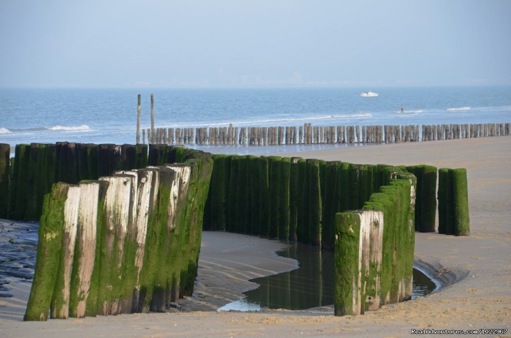 Nieuwvliet Nortsea beach | 't Staaksken , a place for garden lovers | Image #17/24 | 