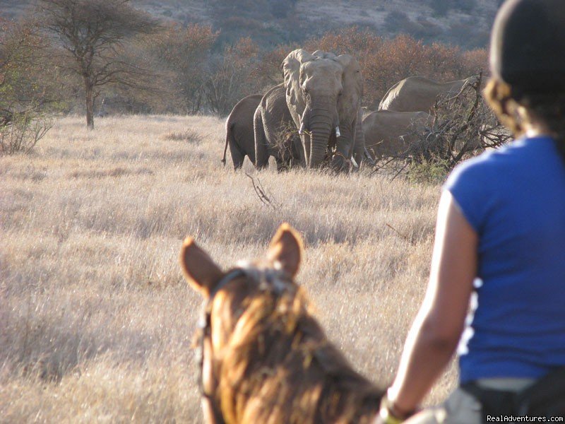 Kilimanjaro Ride | Long Distance Adventure Rides | Image #4/4 | 