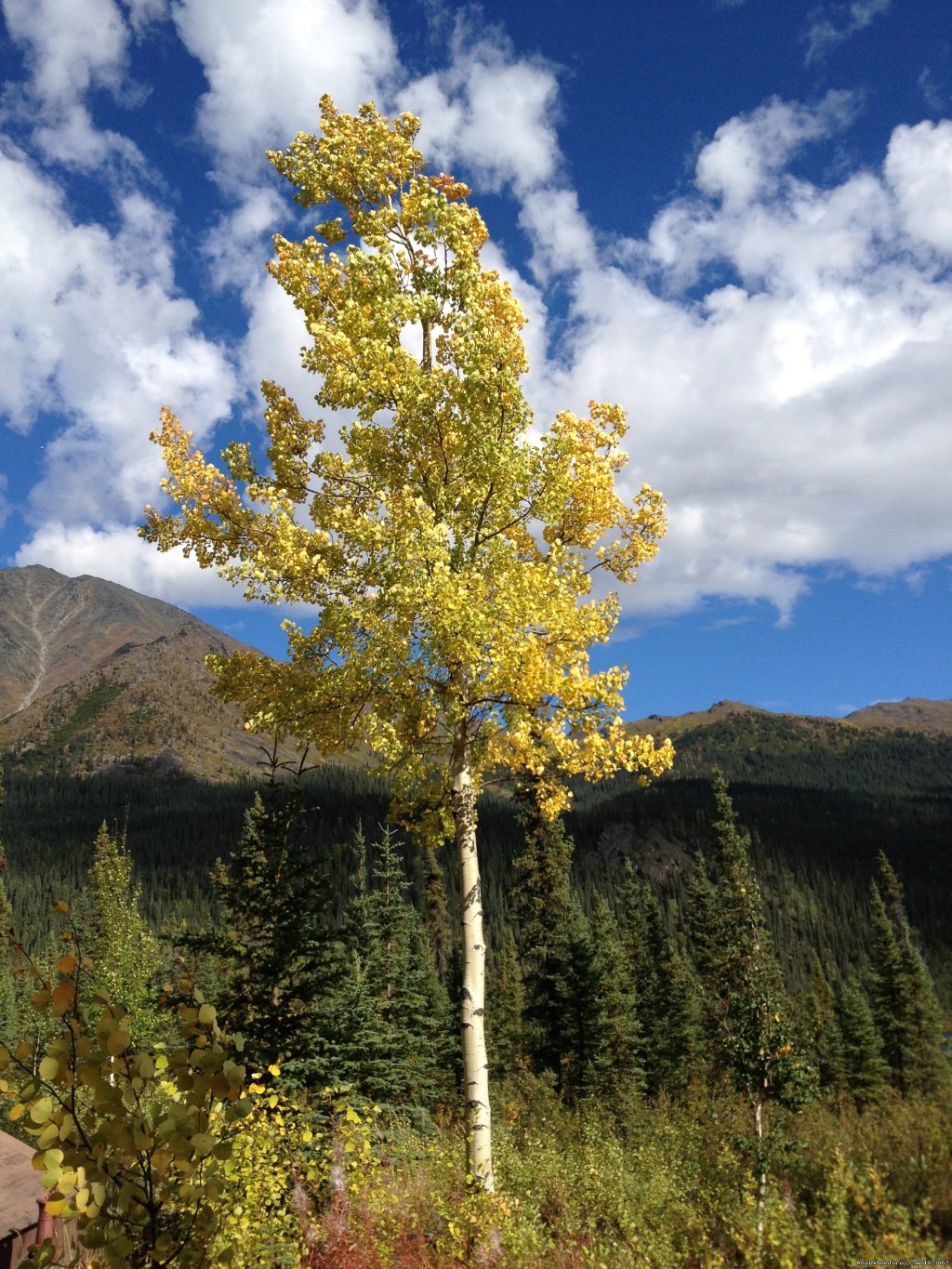 Iniakuk Lake, Brooks Range, Alaska | Alaska's Iniakuk Lake Wilderness Lodge | Image #19/22 | 