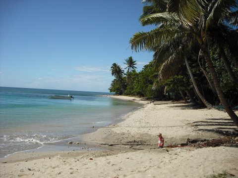 Along the beach