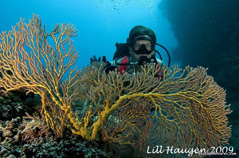 Close Inspection | Dive Kadavu / Matana Beach Resort | Image #19/26 | 