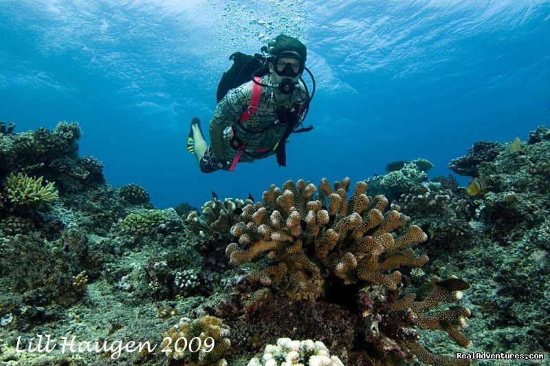 Awesome Scenery | Dive Kadavu / Matana Beach Resort | Image #21/26 | 