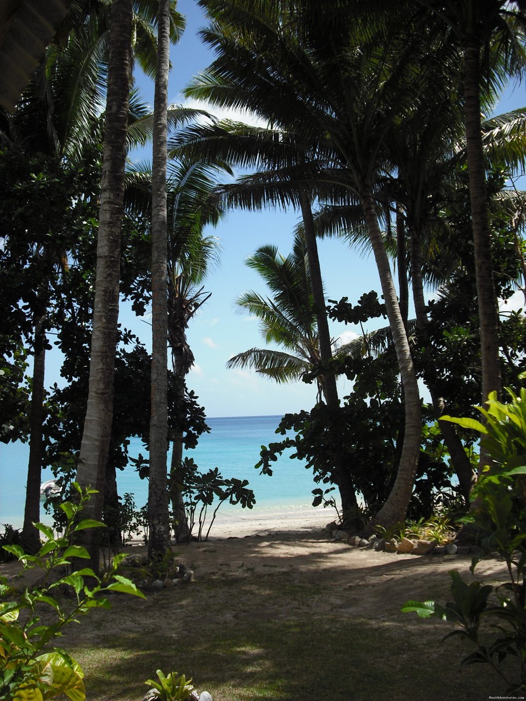 View from Beachfront Bure | Dive Kadavu / Matana Beach Resort | Image #4/26 | 