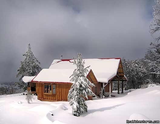 The Artists' Loft in the snow | Artists' Loft And Cabin At Strawberry Hill | Image #2/10 | 