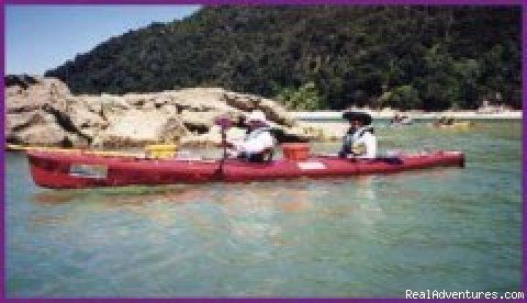 Kayaking in the Abel Tasman National Par | Black Sheep Touring Company | Image #2/7 | 