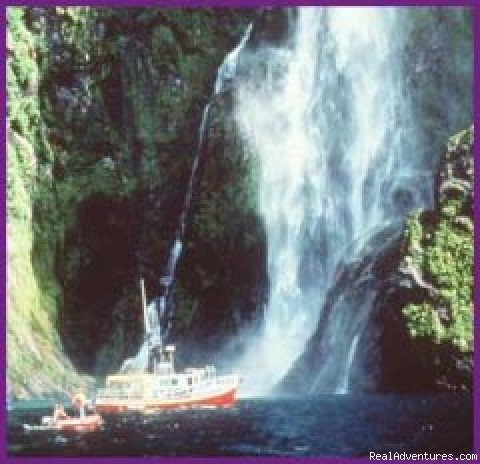 Milford Sound Boating | Black Sheep Touring Company | Image #3/7 | 