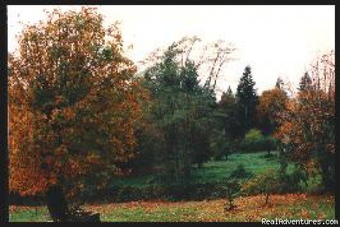 grounds | Brock's BAYVIEW RETREAT | Powell River. B.C., British Columbia  | Bed & Breakfasts | Image #1/1 | 