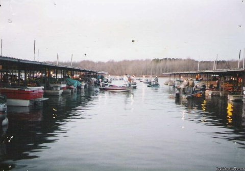 Busy Day at The Marina