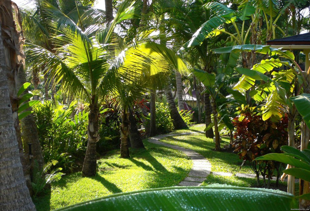 Hotel Habitation Grande Anse | Image #3/3 | 