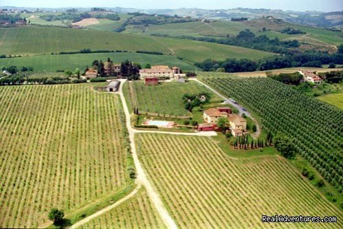 Agriturismo Podere Torricella | Image #4/4 | 