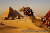 Egyptian Family Adventure | Nile Valley, Egypt