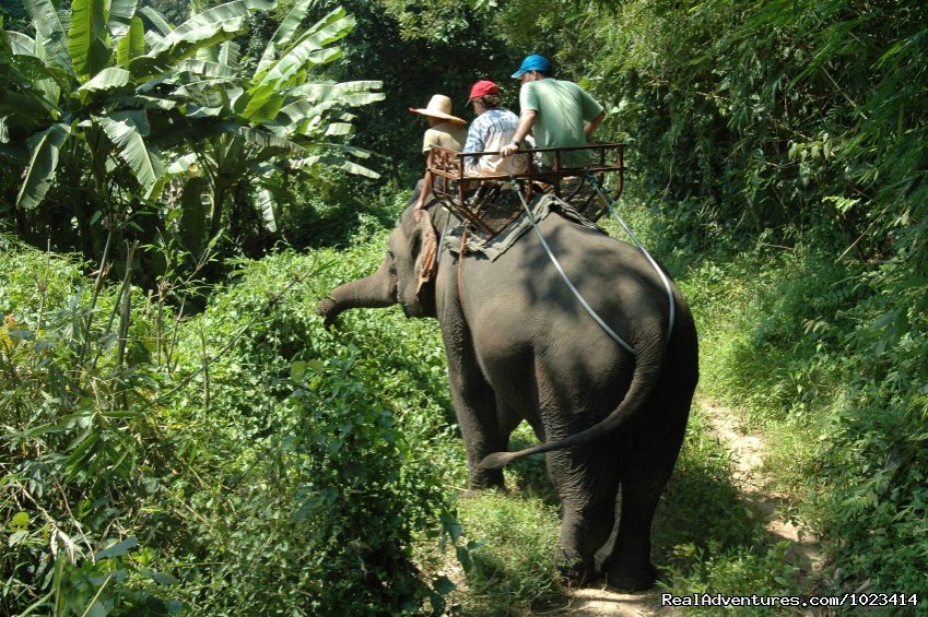 Thailand Family Adventure | Bangkok, Thailand | Sight-Seeing Tours | Image #1/1 | 