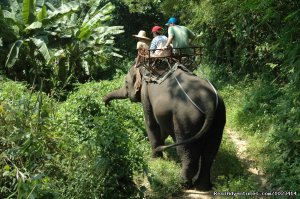 Thailand Family Adventure | Bangkok, Thailand | Sight-Seeing Tours