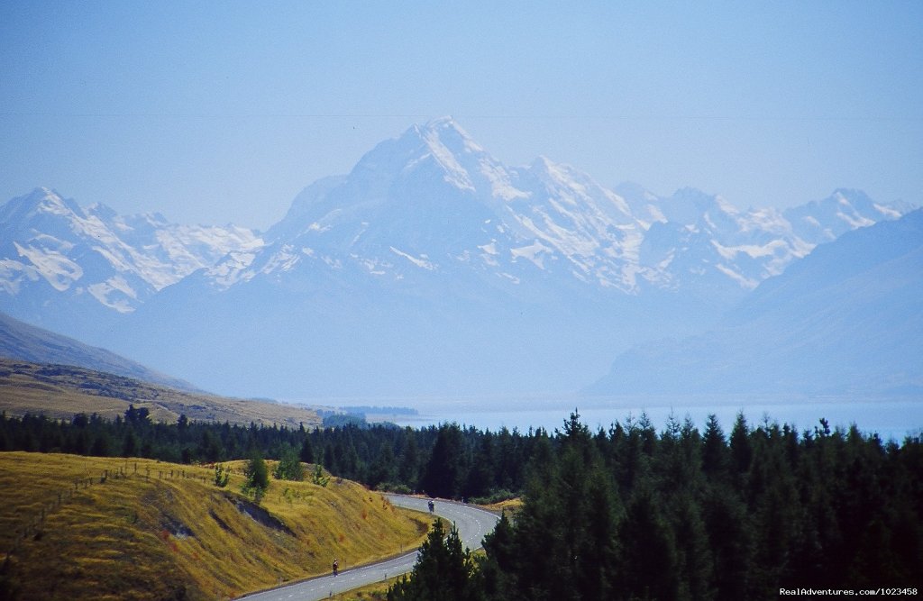 Bruce Bay, West Coast, South Island | Pedaltours Bicycle Adventures | Image #17/19 | 