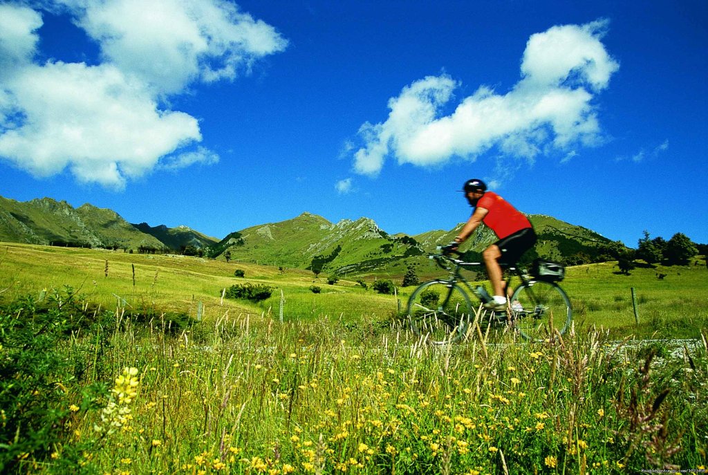 Near Lindis Pass, South Island | Pedaltours Bicycle Adventures | Image #10/19 | 