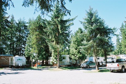 RV Park | Wild Duck Motel & RV Park | Image #3/4 | 