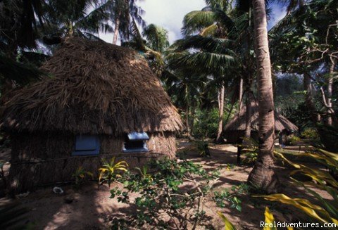 Resort in Kadavu | Sea-kayak Fiji | Image #4/9 | 