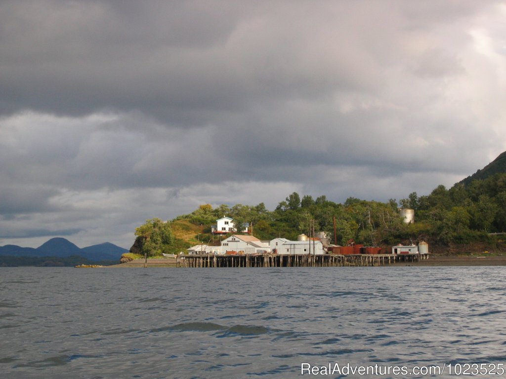 Zachar Bay Lodge | Alaska's Kodiak Wilderness Sport Fishing | Image #8/11 | 