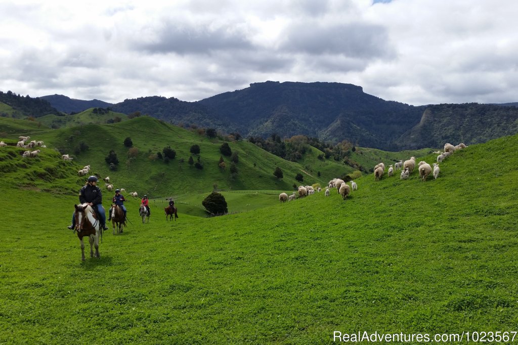 Sheperd's Trail Half-day Horse Trek | River Valley Lodge | Image #4/11 | 