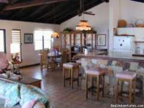 Photo #1 | Tamarind Villa | British Virgin Islands, British Virgin Islands | Vacation Rentals | Image #1/1 | 