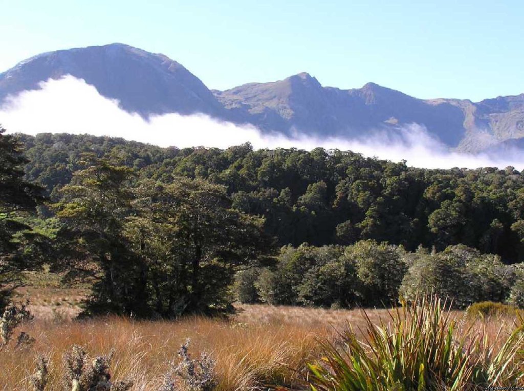 Mount Owen | Bush & Beyond guided conservation walks | Image #2/3 | 