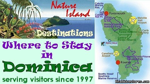 hotels, guesthouses, villas, apartments | Nature Island Destinations Ltd. | Image #7/15 | 