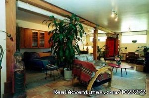 Spruce Canyon | Berkeley, California | Vacation Rentals