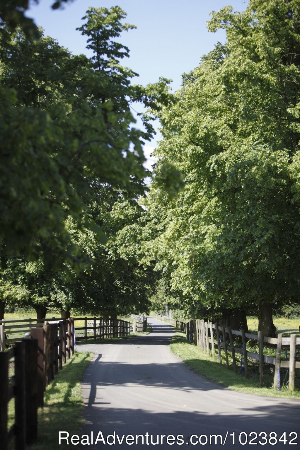 Bowers Hill Farm B&B - rural Cotswolds getaway | Image #4/20 | 