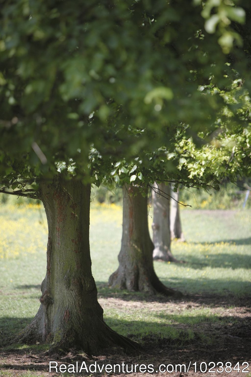 Bowers Hill Farm B&B - rural Cotswolds getaway | Image #11/20 | 