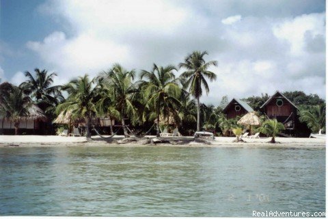 Resturant overlooks the Caribbean | Green Parrot Beach Houses & Resort | Placencia, Belize | Hotels & Resorts | Image #1/24 | 