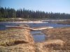 White Wolf Wilderness Expeditions | Temagami, Ontario