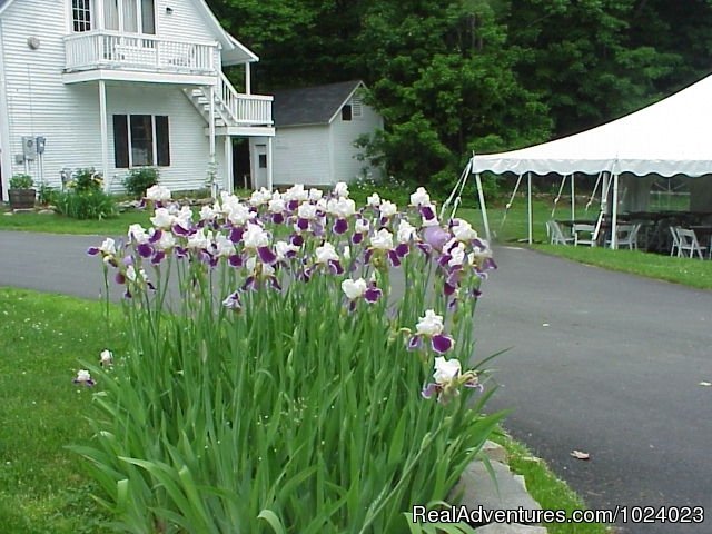 Gardens | Echo Lake Inn | Image #13/17 | 