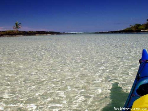 Kayak Adventures in Samoa | Image #7/18 | 