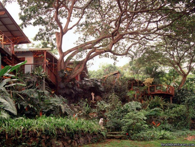 Upscale Treehouse: HEALING ARTS CENTER | Image #3/3 | 