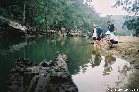 Spot fish in crystal waters