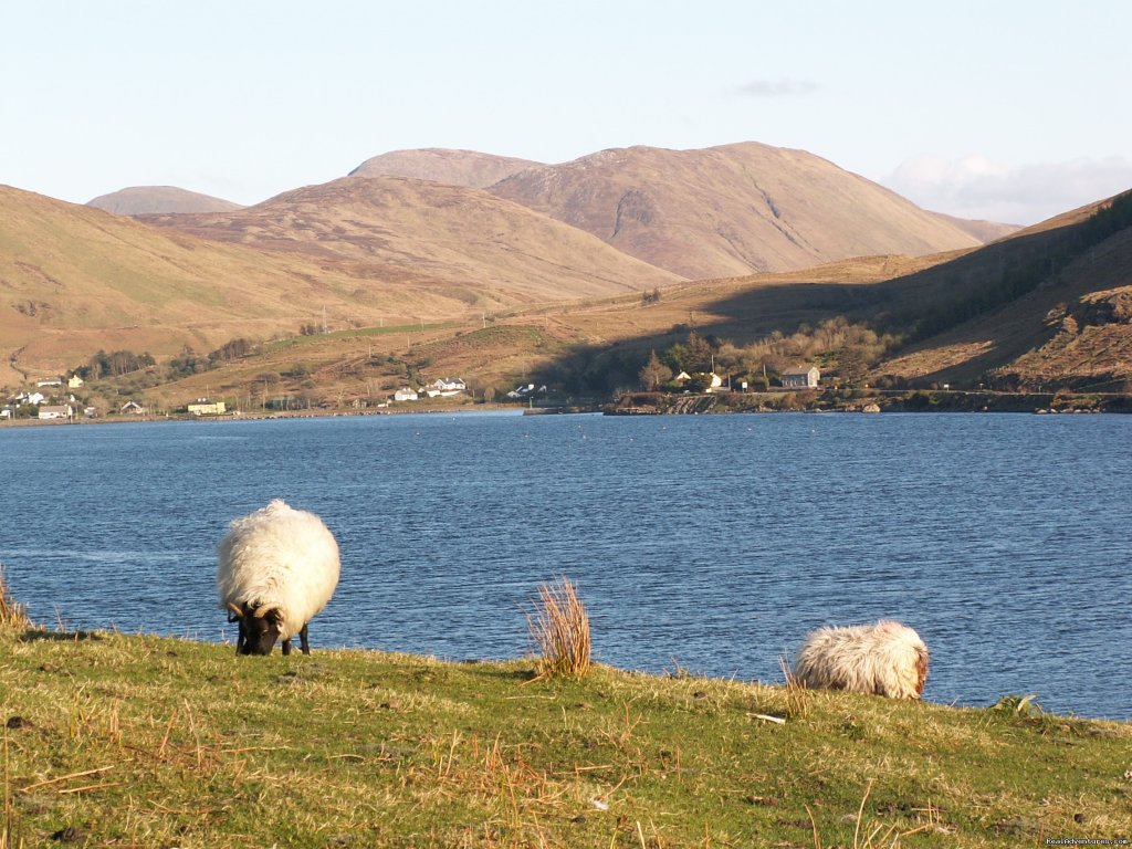 Experience the West of Ireland - Cycling & Walking | Image #12/21 | 