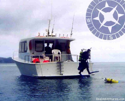 Yacht and launch charter in the Marlborough Sounds | Image #6/6 | 