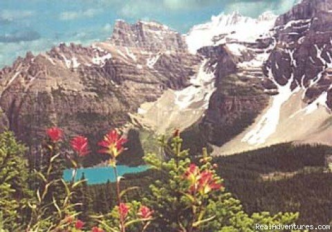 Lake Louise | Canadian Rockies: Banff & Yoho National Parks | Image #2/6 | 