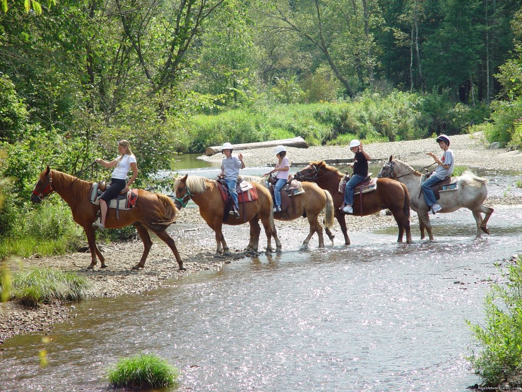 Franconia Inn, the inn to resort to | Image #6/23 | 