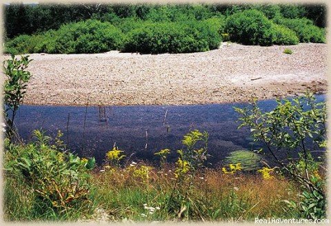 Franconia Inn Swimming Hole | Franconia Inn, the inn to resort to | Image #5/23 | 