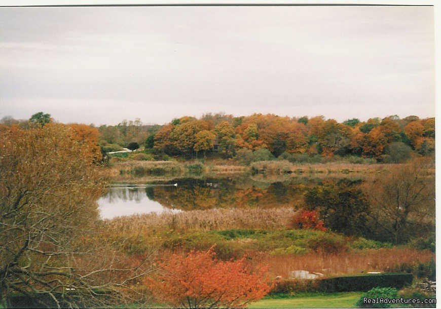 Murray House Pond View changing Fall colors. | Murray House:   It's a Special Place | Image #6/20 | 