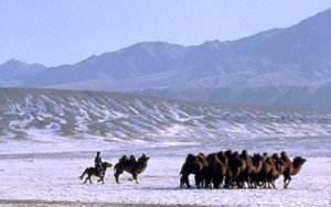 Selena Travel Mongolia | Ulaanbaatar, Mongolia Sight-Seeing Tours | Great Vacations & Exciting Destinations