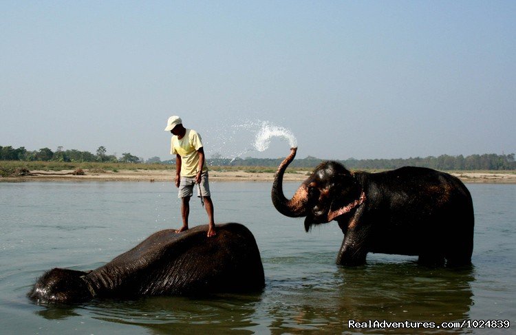 Jungle Safari | Nepal Highlights | Image #4/15 | 